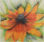 Rudbeckia Seeds - Gloriosa Daisy