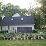 IN PERSON CLASS: Bring Your Garden to the Sun with Container Gardening - Sow True Seed