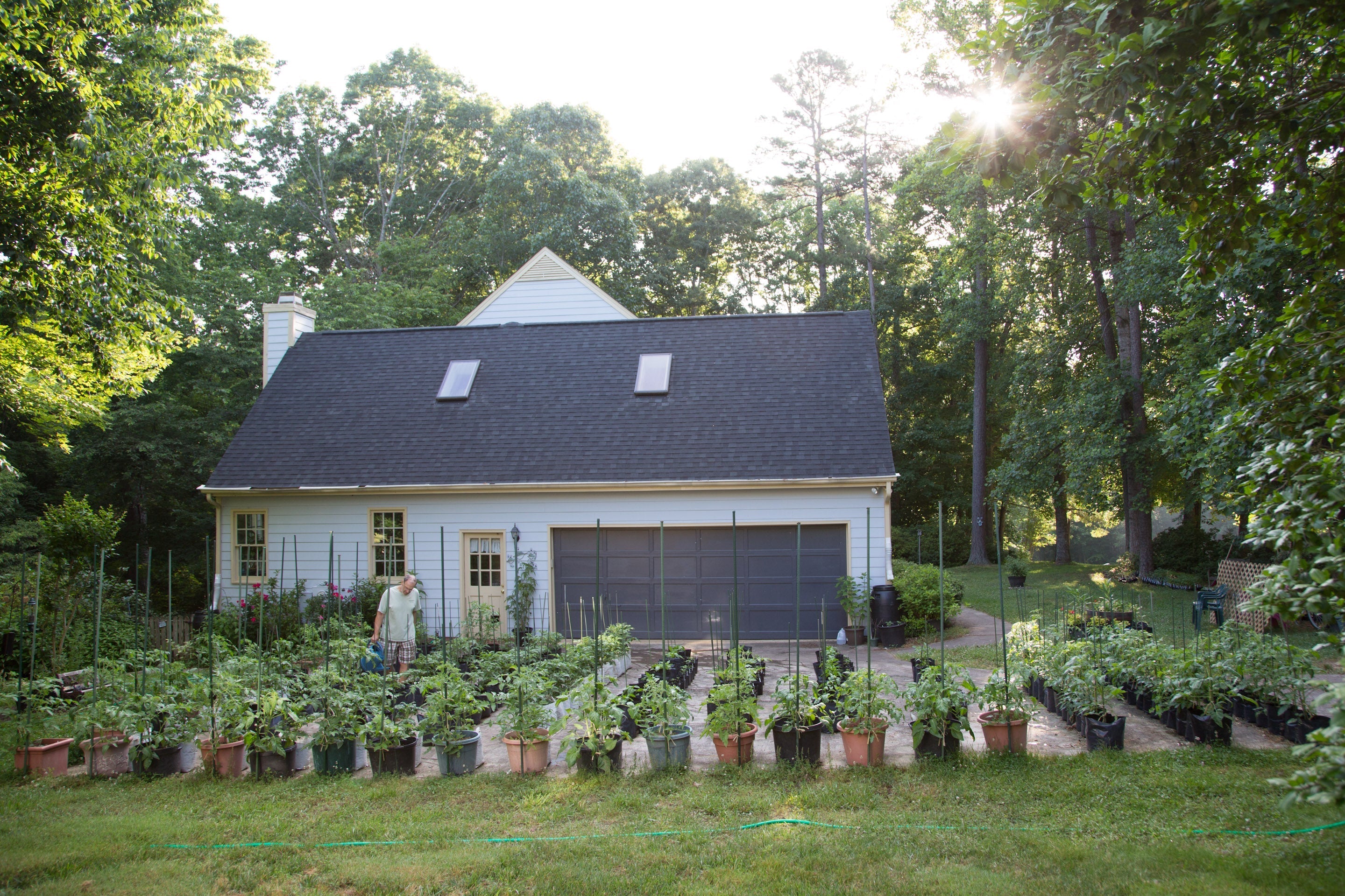 IN PERSON CLASS: Bring Your Garden to the Sun with Container Gardening - Sow True Seed