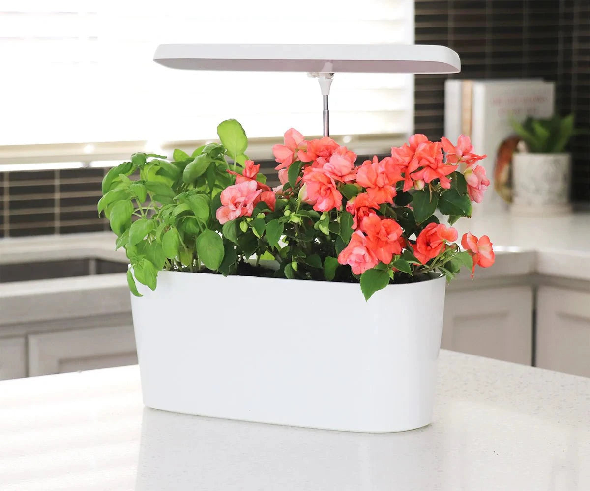 planter with grow light SunBlaster Nano Growlight Garden, w/ LED Grow Light, Timer and Adapter