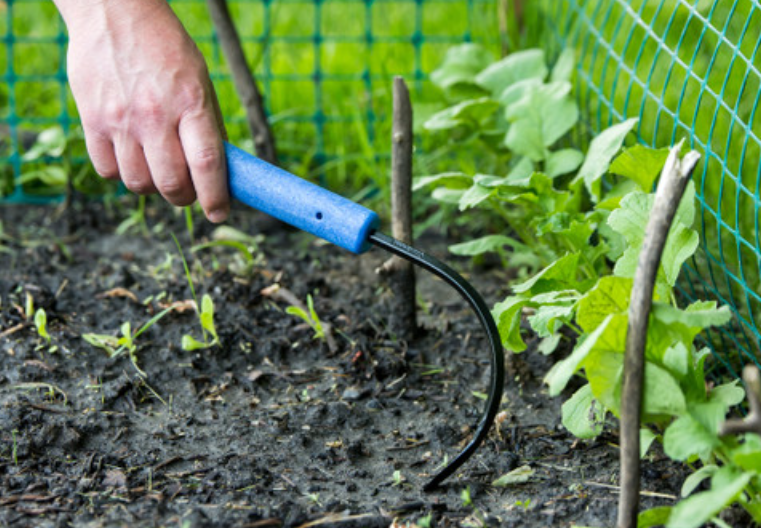 CobraHead Original Weeder and Cultivator - Sow True Seed