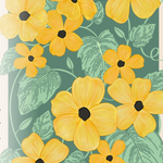 Black Eyed Susan Vine Seeds - Sow True Seed