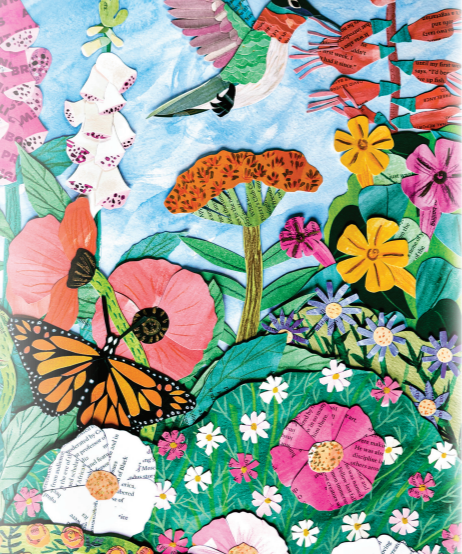 Flower Seed Mix - Hummingbird, Butterfly, Songbird - Sow True Seed
