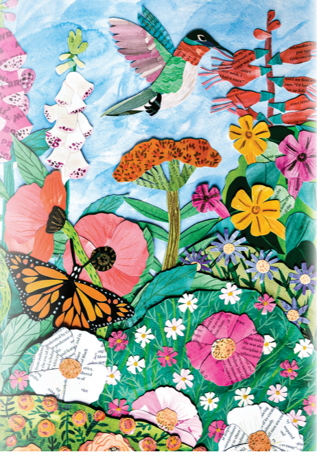 butterfly flower seeds mix Flower Seed Mix