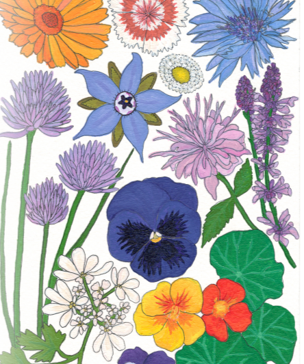 Flower Seed Mix - Edible Flowers - Sow True Seed