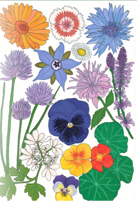 edible flower seeds organic Flower Seed Mix