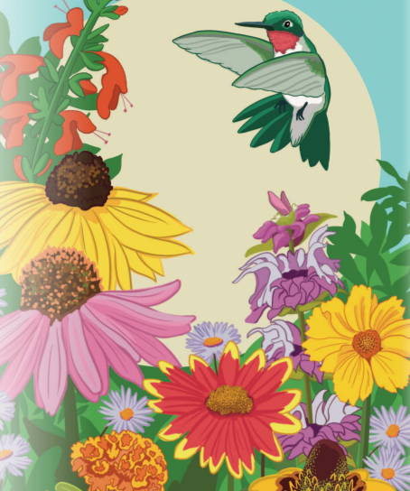 Flower Seed Mix - Southeast Native - Sow True Seed