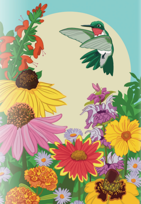 native flower seed mix Southeast Native Mix Flower Mix | Sow True Seed