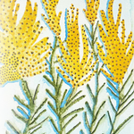 Goldenrod Seeds - Grayleaf Goldenrod - Sow True Seed