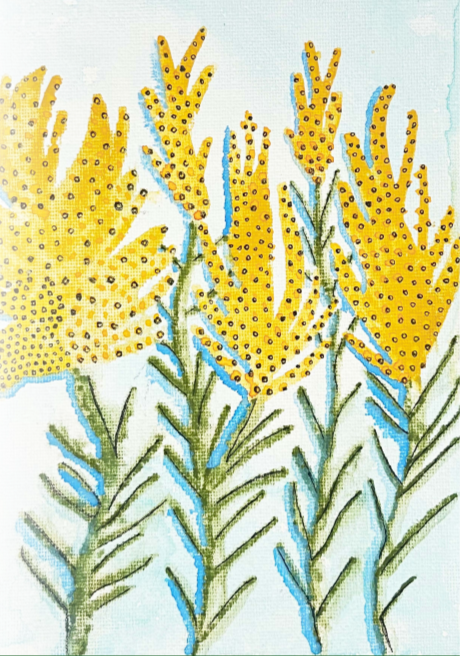 Goldenrod Seeds - Grayleaf Goldenrod - Sow True Seed