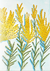 Goldenrod Seeds - Grayleaf Goldenrod - Sow True Seed
