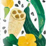 Gourd Seeds - Luffa - Sow True Seed