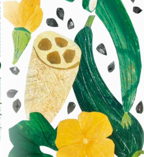 Gourd Seeds - Luffa - Sow True Seed