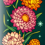 Strawflower Seeds - Tall Mixed - Sow True Seed
