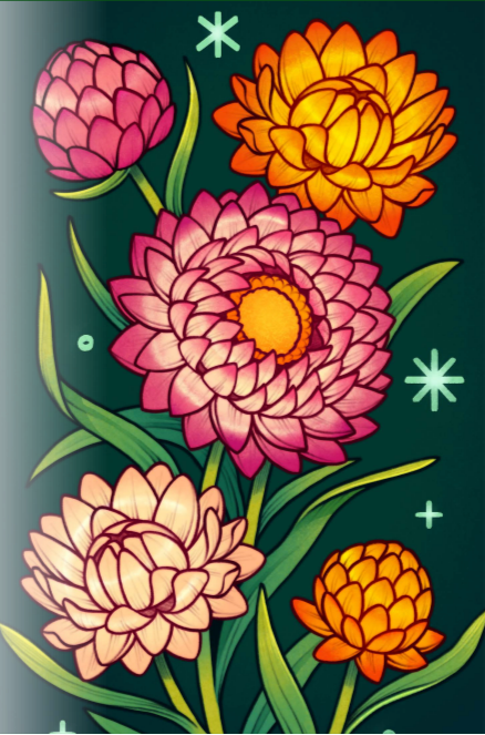 Strawflower Seeds - Tall Mixed - Sow True Seed