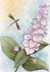 Clary Sage Seeds - Sow True Seed