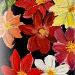 Dahlia Seeds - Single Mix - Sow True Seed