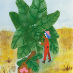 Spinach Seeds - Winter Giant - Sow True Seed