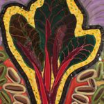 Swiss Chard Seeds - Ruby Red, ORGANIC - Sow True Seed