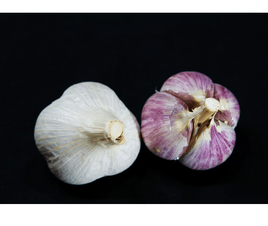 Rosewood Hardneck Garlic - Sow True Seed