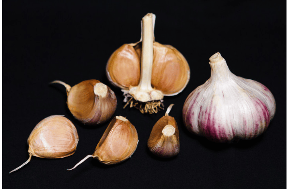 Russian Red Hardneck Garlic - Sow True Seed