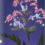 Valerian Seeds - Sow True Seed