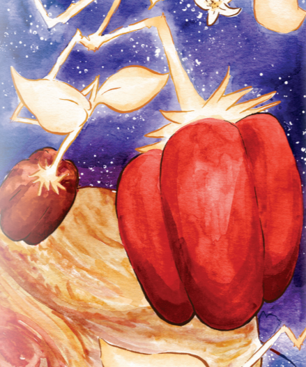 Sweet Pepper Seeds - Jupiter - Sow True Seed