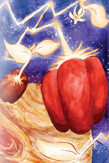 Sweet Pepper Seeds - Jupiter - Sow True Seed