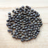 Southern Pea Seeds - Blue Goose