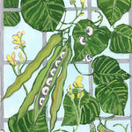 Southern Pea Seeds - California Blackeye - Sow True Seed