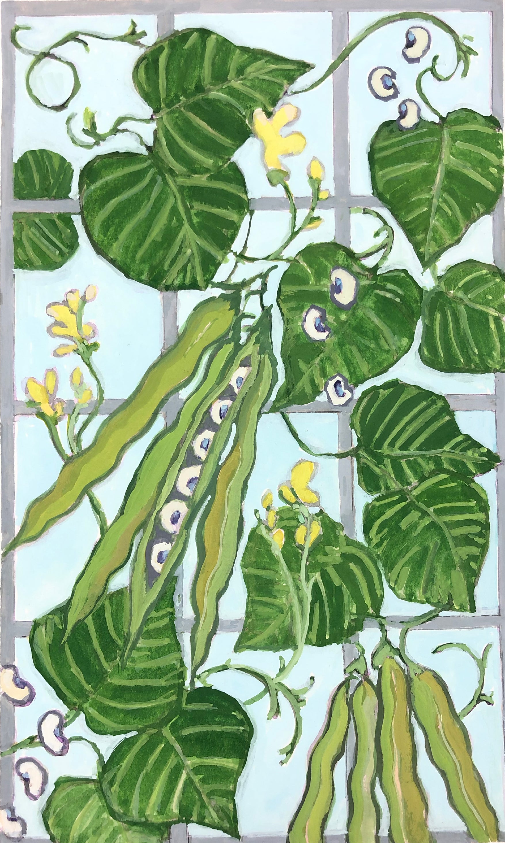 Southern Pea Seeds - California Blackeye - Sow True Seed