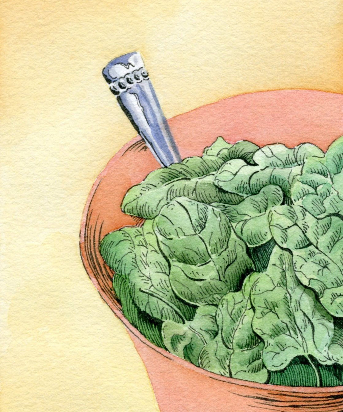 Spinach Seeds - America - Sow True Seed