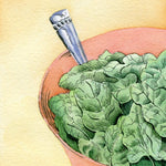 Spinach Seeds - America - Sow True Seed
