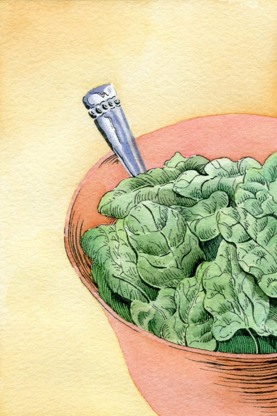 Spinach Seeds - America - Sow True Seed