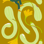 Summer Squash Seeds - Tromboncino - Sow True Seed