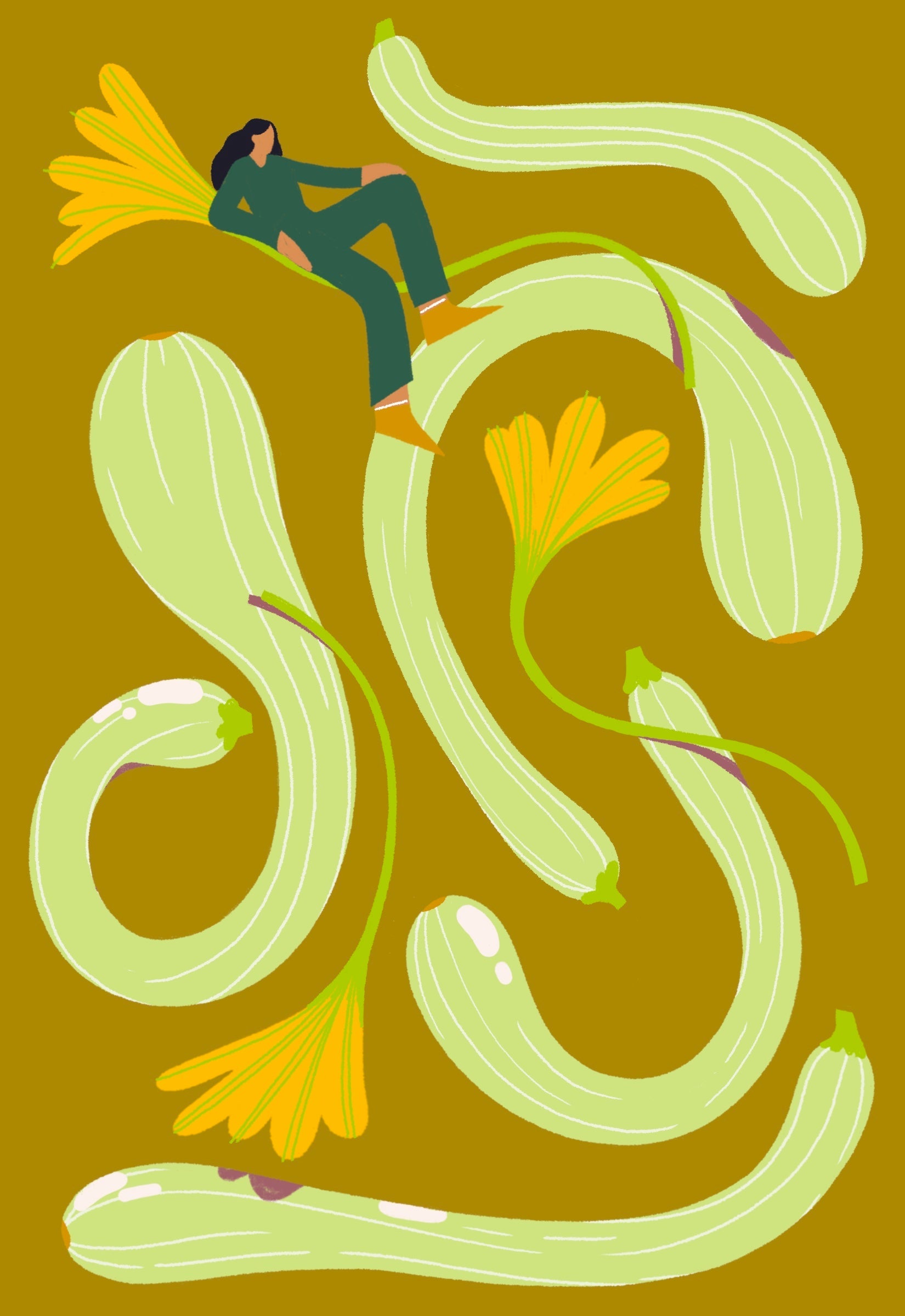 Summer Squash Seeds - Tromboncino - Sow True Seed