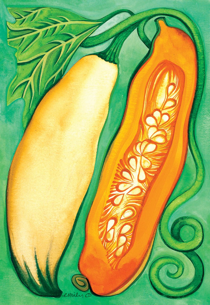 Winter Squash Seeds - North Georgia Candy Roaster - Sow True Seed