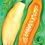Winter Squash Seeds - North Georgia Candy Roaster - Sow True Seed