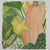 Winter Squash Seeds - South Anna Butternut, ORGANIC