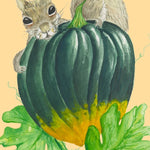 Winter Squash Seeds - Table Queen Bush Acorn, ORGANIC - Sow True Seed