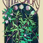 Summer Savory Seeds - Sow True Seed