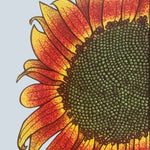 Sunflower Seeds - Autumn Beauty - Sow True Seed