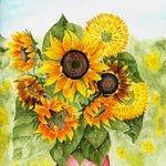 Sunflower Seeds - All Sorts Mix - Sow True Seed