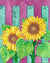 Sunflower Seeds - Sunspot Dwarf