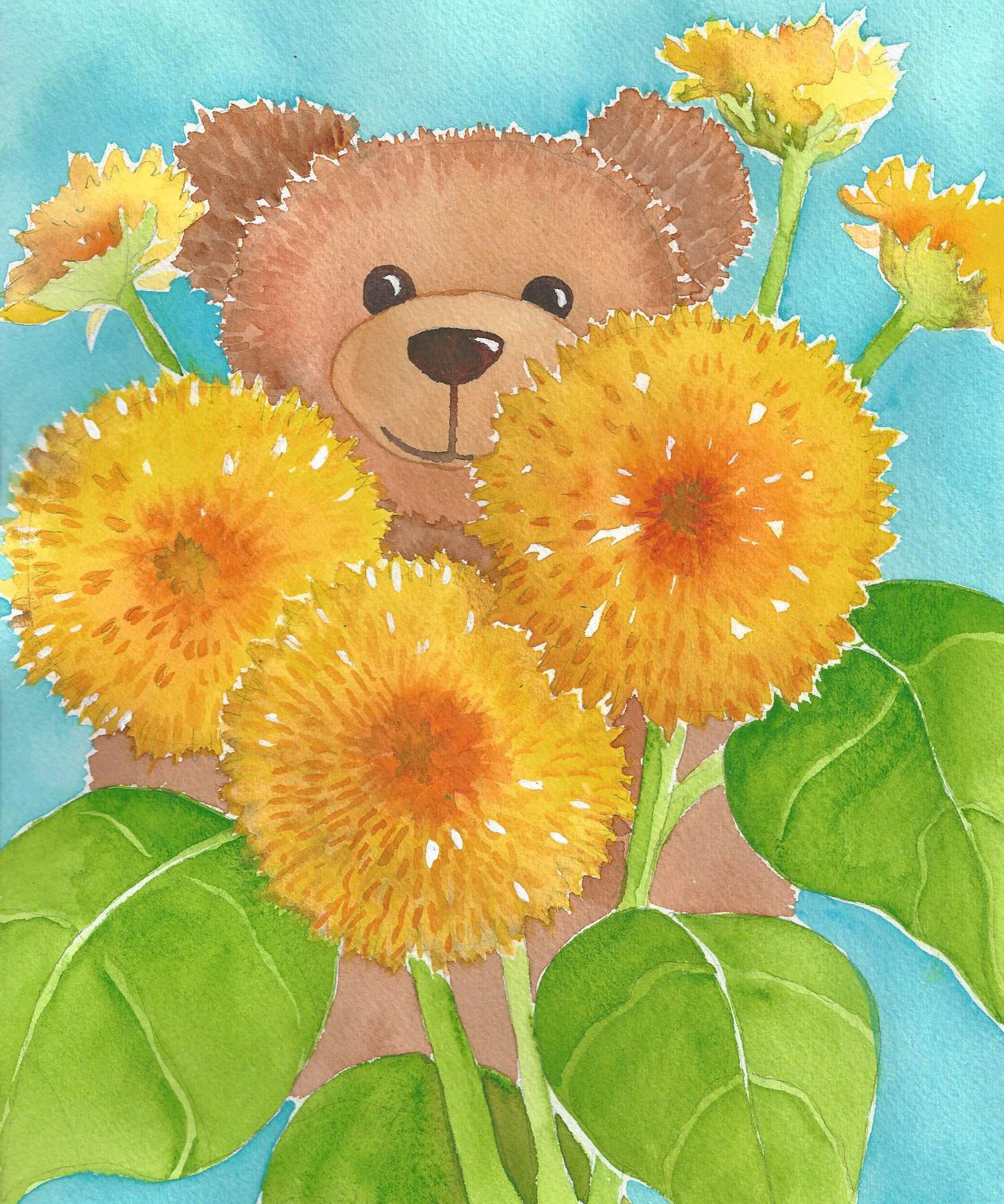 Sunflower Seeds - Teddy Bear - Sow True Seed