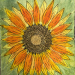 Sunflower Seeds - Velvet Queen - Sow True Seed