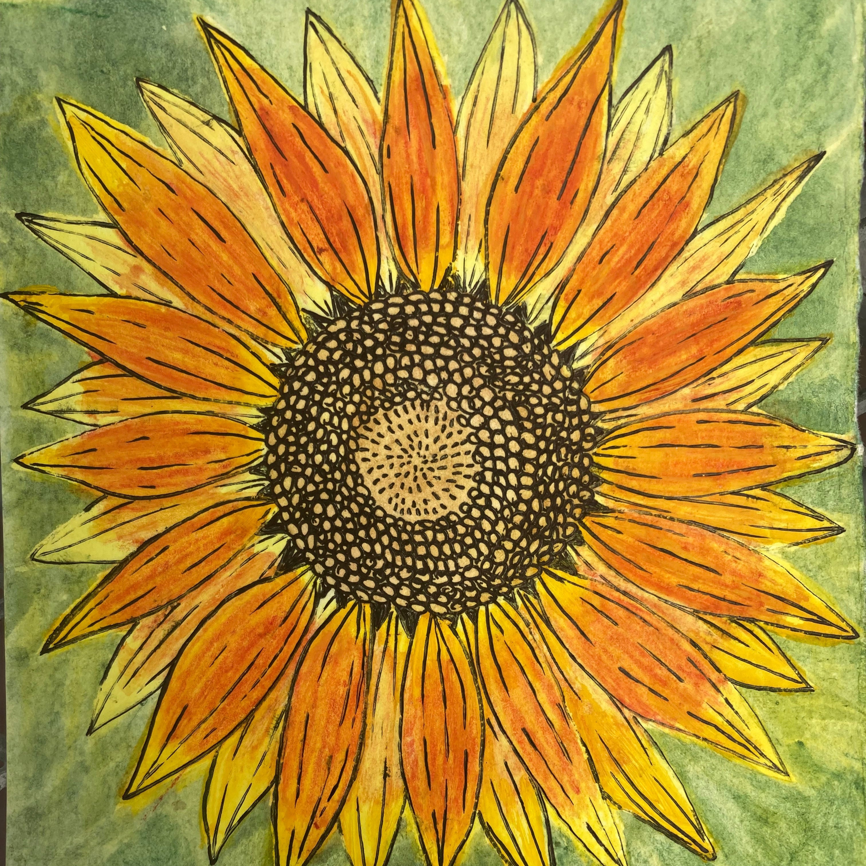 Sunflower Seeds - Velvet Queen - Sow True Seed
