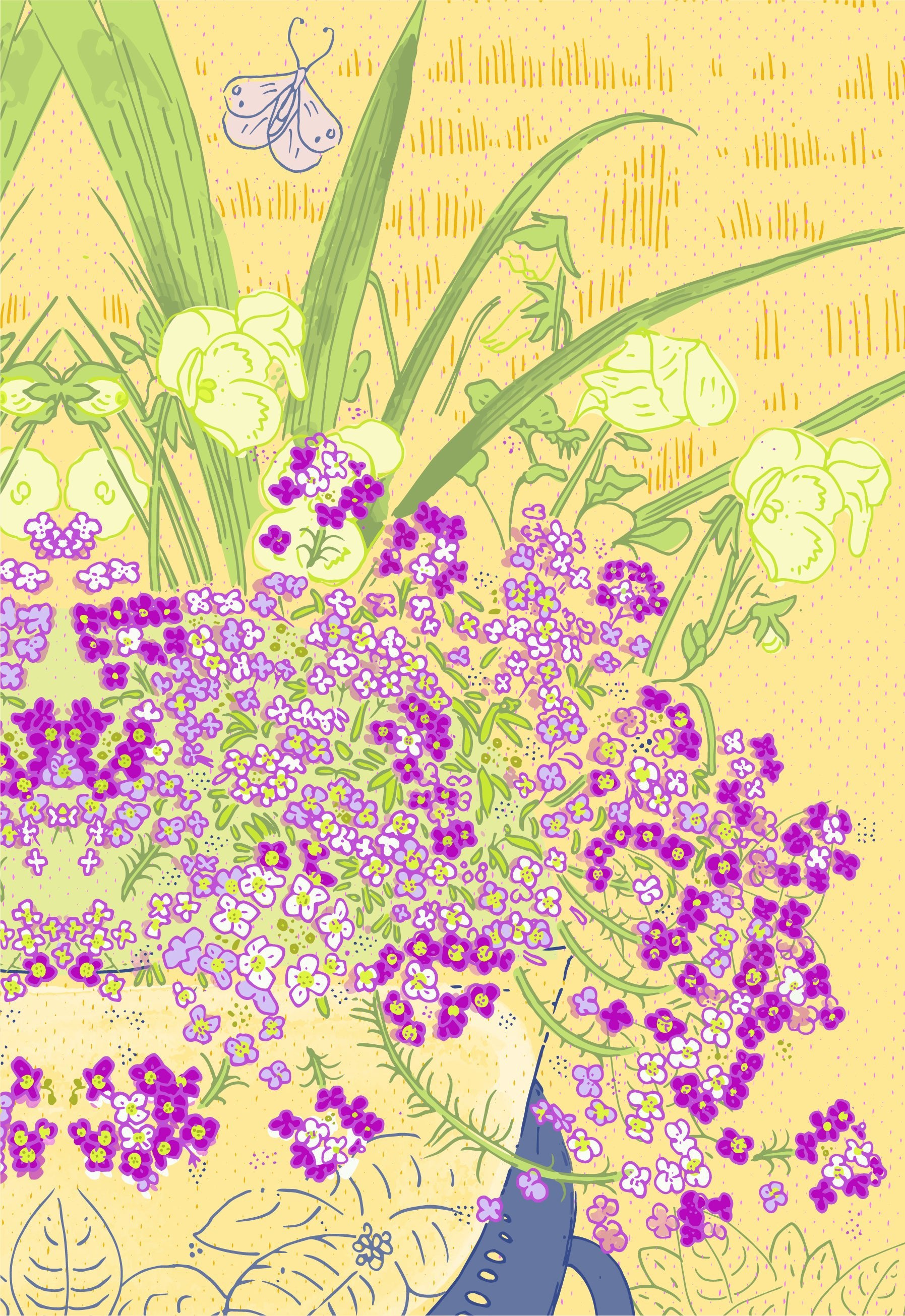 Sweet Alyssum Seeds - Painted Carpet Mix - Sow True Seed