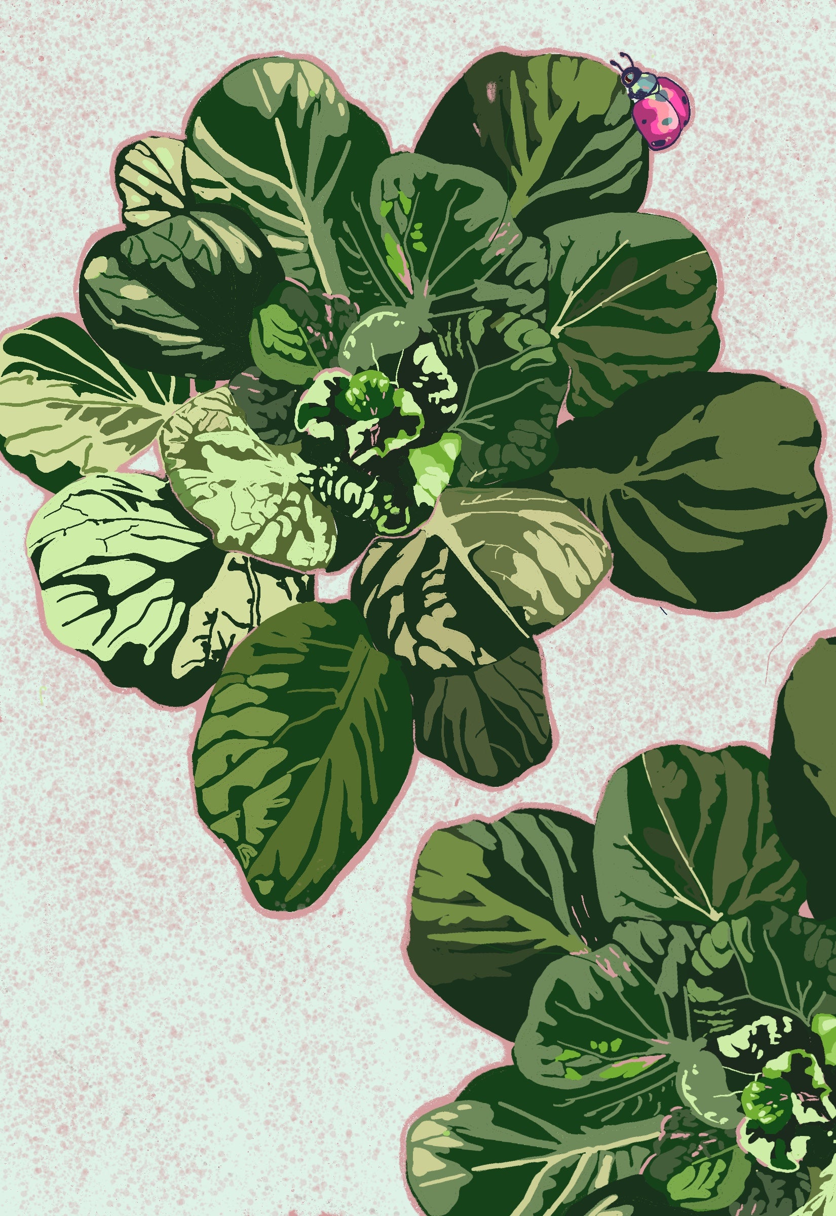 Asian Greens Seeds - Tatsoi - Sow True Seed