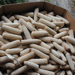 Dent Corn Seeds - Tennessee Red Cob, ORGANIC - Sow True Seed
